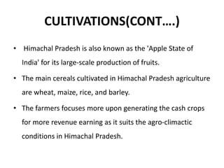 CULTIVATIONS(CONT….)
• Himachal Pradesh is also known as the 'Apple State of
India' for its large-scale production of fruits.
• The main cereals cultivated in Himachal Pradesh agriculture
are wheat, maize, rice, and barley.
• The farmers focuses more upon generating the cash crops
for more revenue earning as it suits the agro-climactic
conditions in Himachal Pradesh.
 