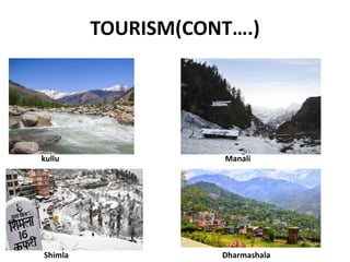 TOURISM(CONT….)
kullu Manali
Shimla Dharmashala
 