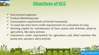 5
Objectives of KCC
 Post-harvest expenses
 Produce Marketing loan
 Consumption requirements of farmer household
 To meet the short term credit requirements for cultivation of crops
 Working capital for maintenance of farm assets and activities allied to
agriculture, like dairy animals
 Investment credit requirement for agriculture and allied activities like
pump sets, sprayers, dairy animals
 