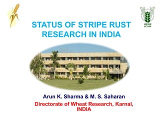 STATUS OF STRIPE RUST RESEARCH IN INDIA Arun K. Sharma & M. S. Saharan Directorate of Wheat Research, Karnal,  INDIA 