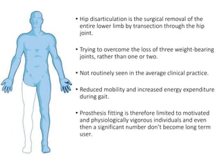 • Hip disarticulation is the surgical removal of the
entire lower limb by transection through the hip
joint.
• Trying to overcome the loss of three weight-bearing
joints, rather than one or two.
• Not routinely seen in the average clinical practice.
• Reduced mobility and increased energy expenditure
during gait.
• Prosthesis fitting is therefore limited to motivated
and physiologically vigorous individuals and even
then a significant number don’t become long term
user.
 