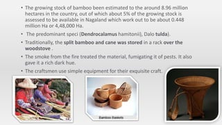 • The growing stock of bamboo been estimated to the around 8.96 million
hectares in the country, out of which about 5% of the growing stock is
assessed to be available in Nagaland which work out to be about 0.448
million Ha or 4,48,000 Ha.
• The predominant speci (Dendrocalamus hamitonii), Dalo tulda).
• Traditionally, the split bamboo and cane was stored in a rack over the
woodstove .
• The smoke from the fire treated the material, fumigating it of pests. It also
gave it a rich dark hue.
• The craftsmen use simple equipment for their exquisite craft.
 