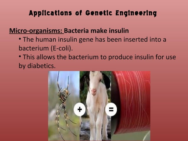 Genetic engineering PPT
