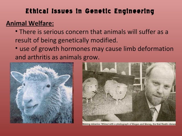 Genetic engineering PPT