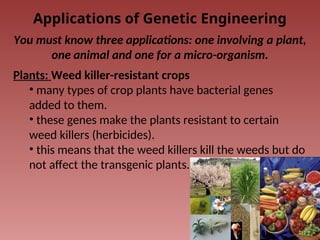 Applications of Genetic Engineering
You must know three applications: one involving a plant,
one animal and one for a micro-organism.
Plants: Weed killer-resistant crops
• many types of crop plants have bacterial genes
added to them.
• these genes make the plants resistant to certain
weed killers (herbicides).
• this means that the weed killers kill the weeds but do
not affect the transgenic plants.
 