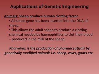 Applications of Genetic Engineering
Animals: Sheep produce human clotting factor
• A human gene has been inserted into the DNA of
sheep.
• This allows the adult sheep to produce a clotting
chemical needed by haemophiliacs to clot their blood
– produced in the milk of the sheep.
Pharming: is the production of pharmaceuticals by
genetically modified animals i.e. sheep, cows, goats etc.
 