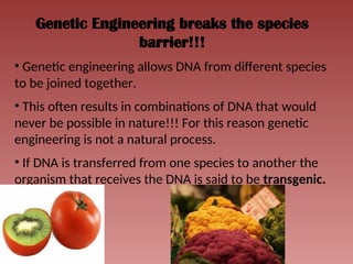 Genetic Engineering breaks the species
barrier!!!
• Genetic engineering allows DNA from different species
to be joined together.
• This often results in combinations of DNA that would
never be possible in nature!!! For this reason genetic
engineering is not a natural process.
• If DNA is transferred from one species to another the
organism that receives the DNA is said to be transgenic.
 