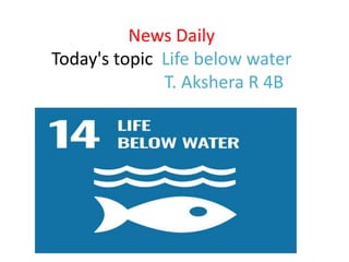 News Daily
Today's topic Life below water
T. Akshera R 4B
 