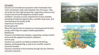 Array Ecosystems Comprehensive Overview of Marine Ecosystems: Types, Importance, and ...
