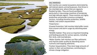 Comprehensive Overview of Marine Ecosystems: Types, Importance, and ...