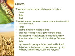 Millets
There are three important millets grown in India:-
• Jowar
• Bajra
• Ragi
Though these are known as coarse grains, they have high
  nutritional value.
• Jowar
• It is the third most important crop
• It is a red-fed crop mostly gown in moist areas.
• Maharashtra is the largest producer followed by
  Karnataka, Andhra Pradesh and Madhya Pradesh.
• Bajra
• It grows well in sandy soils and shallow black soil.
• Rajasthan is the largest producer followed by Uttar
  Pradesh, Maharashtra, Gujrat and Haryana.
 