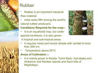 Rubber
•   Rubber is an important industrial
Raw material
• India ranks fifth among the world’s
natural rubber producers.
Conditions Required for the crop:-
• It is an equatorial crop, but under
special conditions, it is also grown
 in tropical and sub-tropical areas.
• It requires moist and humid climate with rainfall of more
    than 200 cm.
• Temperature above 25°C.
Areas of Cultivation :-
• It is mainly grown in Kerala, Tamil Nadu, Karnataka and
    Andaman and Nicobar islands and Garo hills of
    Meghalaya.
 
