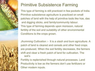 Primitive Subsistence Farming
This type of farming is still practiced in few pockets of India.
Primitive subsistence agriculture is practiced on small
patches of land with the help of primitive tools like hoe, dao
 and digging sticks, and family/community labour.
This type of farming depends upon monsoon, natural
fertility of the soil and suitability of other environmental
Conditions to the crops grown.

Jhumming Cultivation :- It is a slash and burn agriculture. A
patch of land is cleared and cereals and other food crops
are produced. When the soil fertility decreases, the farmers
shift and clear a fresh patch of land for cultivation. The
   soil’s
Fertility is replenished through natural processes. Land
Productivity is low as the farmers don’t use fertilizers or
Other modern inputs.
 