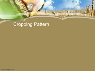 Cropping Pattern
 