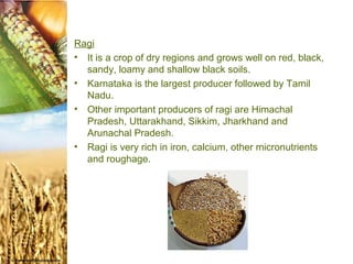 Ragi
• It is a crop of dry regions and grows well on red, black,
  sandy, loamy and shallow black soils.
• Karnataka is the largest producer followed by Tamil
  Nadu.
• Other important producers of ragi are Himachal
  Pradesh, Uttarakhand, Sikkim, Jharkhand and
  Arunachal Pradesh.
• Ragi is very rich in iron, calcium, other micronutrients
  and roughage.
 