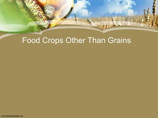 Food Crops Other Than Grains
 