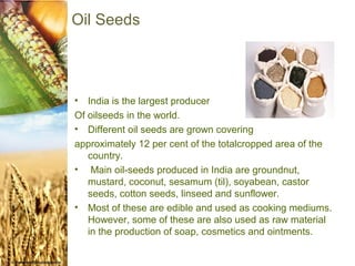 Oil Seeds




•  India is the largest producer
Of oilseeds in the world.
• Different oil seeds are grown covering
approximately 12 per cent of the totalcropped area of the
   country.
• Main oil-seeds produced in India are groundnut,
   mustard, coconut, sesamum (til), soyabean, castor
   seeds, cotton seeds, linseed and sunflower.
• Most of these are edible and used as cooking mediums.
   However, some of these are also used as raw material
   in the production of soap, cosmetics and ointments.
 