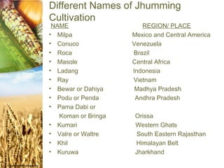 Different Names of Jhumming
Cultivation
 NAME                   REGION/ PLACE
• Milpa              Mexico and Central America
• Conuco             Venezuela
• Roca               Brazil
• Masole             Central Africa
• Ladang             Indonesia
• Ray                Vietnam
• Bewar or Dahiya     Madhya Pradesh
• Podu or Penda       Andhra Pradesh
• Pama Dabi or
   Koman or Bringa   Orissa
• Kumari             Western Ghats
• Valre or Waltre    South Eastern Rajasthan
• Khil               Himalayan Belt
• Kuruwa             Jharkhand
 