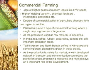 Commercial Farming
•   .Use of Higher doses of modern inputs like HYV seeds
 ( Higher Yielding Variety) , chemical fertilisers ,
    insecticides, pesticides etc.
• Degree of commercialization of agriculture changes from
one region to another.
• Plantation is also a type of commercial farming where a
    single crop is grown on a large area.
• All the produce is used as raw material in industries.
• In India, tea, coffee, rubber, sugarcane, banana etc. are
    important plantation crops.
• Tea in Assam and North Bengal coffee in Karnataka are
    some important plantations grown in these states.
• As the production is mainly for market, a well- developed
    network of transport and communication connecting the
    plantation areas, processing industries and market plays
    an a important role in the development.
 