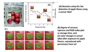 Flavor Sensor use of AI in post harvest storage of fruit crops.pptx