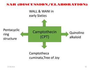 50
Camptothecin
(CPT)
WALL & WANI in
early Sixties
Camptotheca
cuminata,Tree of Joy
Quinolino
alkaloid
Pentacyclic
ring
structure
22-04-2016
 