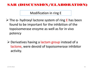 55
Modification in ring E
 The α- hydroxyl lactone system of ring E has been
found to be important for the inhibition of the
topoisomerase enzyme as well as for in vivo
potency
 Derivatives having a lactam group instead of a
lactone, were devoid of topoisomerase inhibitor
activity.
22-04-2016
 