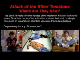 It’s been 38 years since the release of the first film in the Killer Tomatoes
series. Since then, some of the actors that survived the tomato onslaught
have gone on to partake in other less vegetable-themed productions.
Do you recognize any of these actors?
 