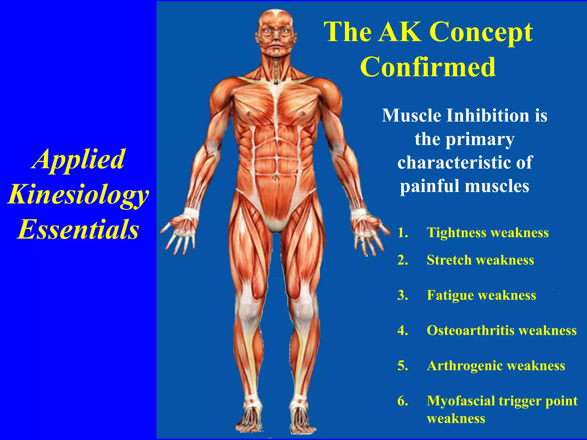 Applied
Kinesiology
Essentials
The AK Concept
Confirmed
Muscle Inhibition is
the primary
characteristic of
painful muscles
1. Tightness weakness
2. Stretch weakness
3. Fatigue weakness
4. Osteoarthritis weakness
5. Arthrogenic weakness
6. Myofascial trigger point
weakness
 