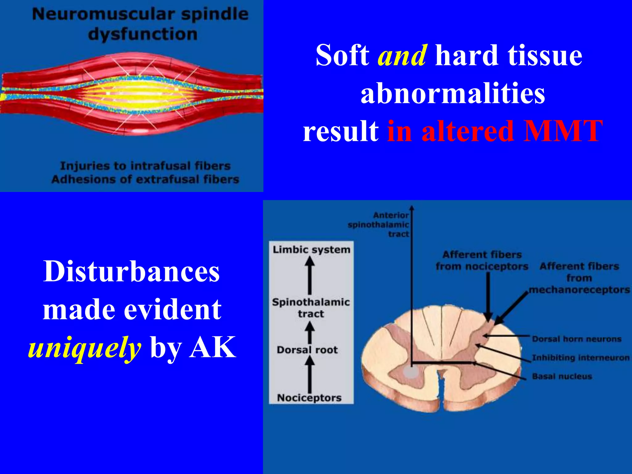Soft and hard tissue
abnormalities
result in altered MMT
Disturbances
made evident
uniquely by AK
 