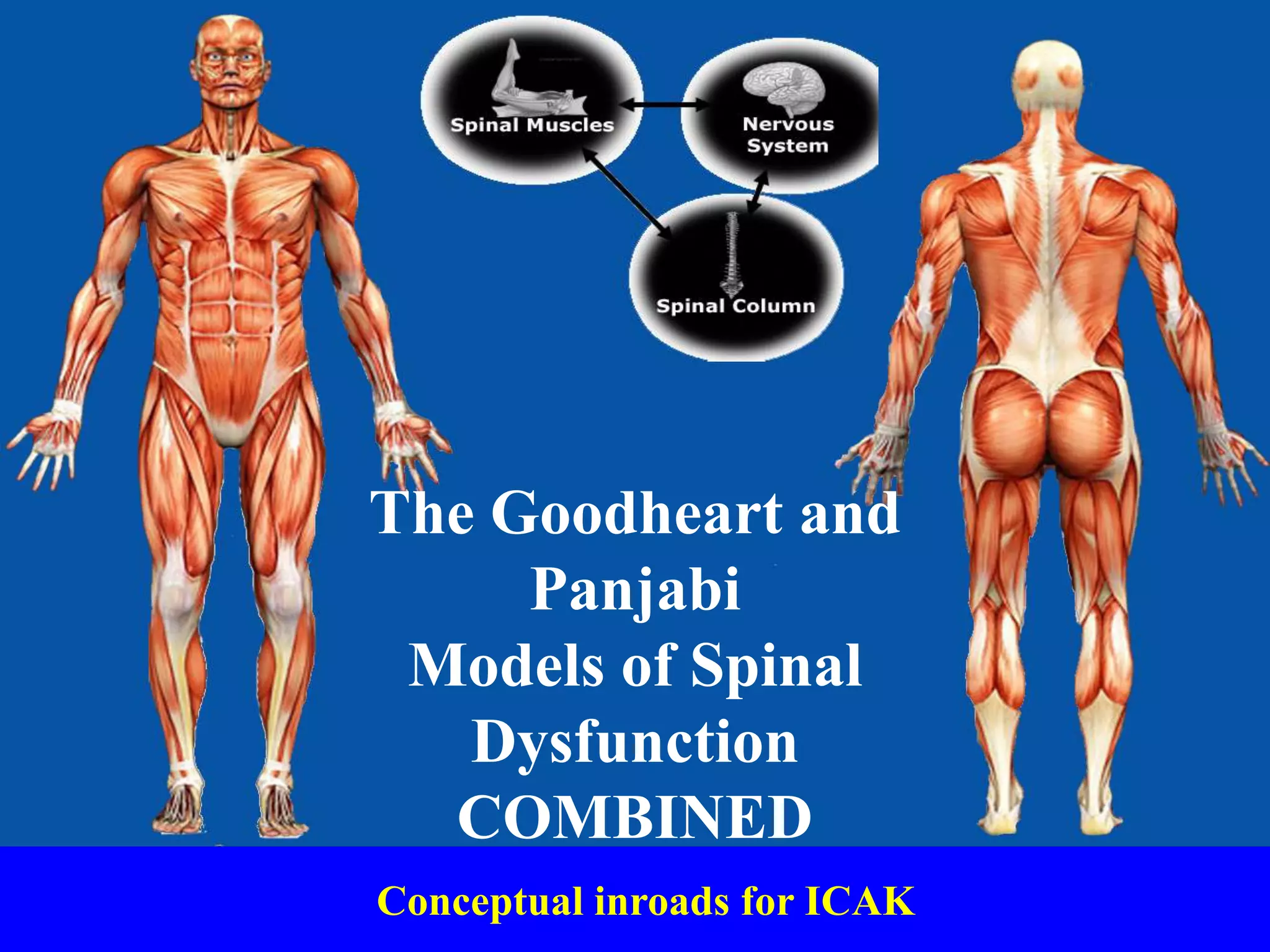 Conceptual inroads for ICAK
The Goodheart and
Panjabi
Models of Spinal
Dysfunction
COMBINED
 