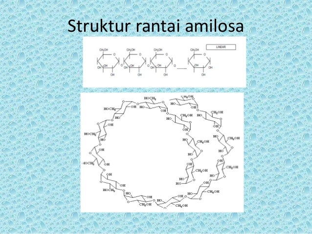 Aktifitas amilolitik dan produksi alkohol dari pati awri