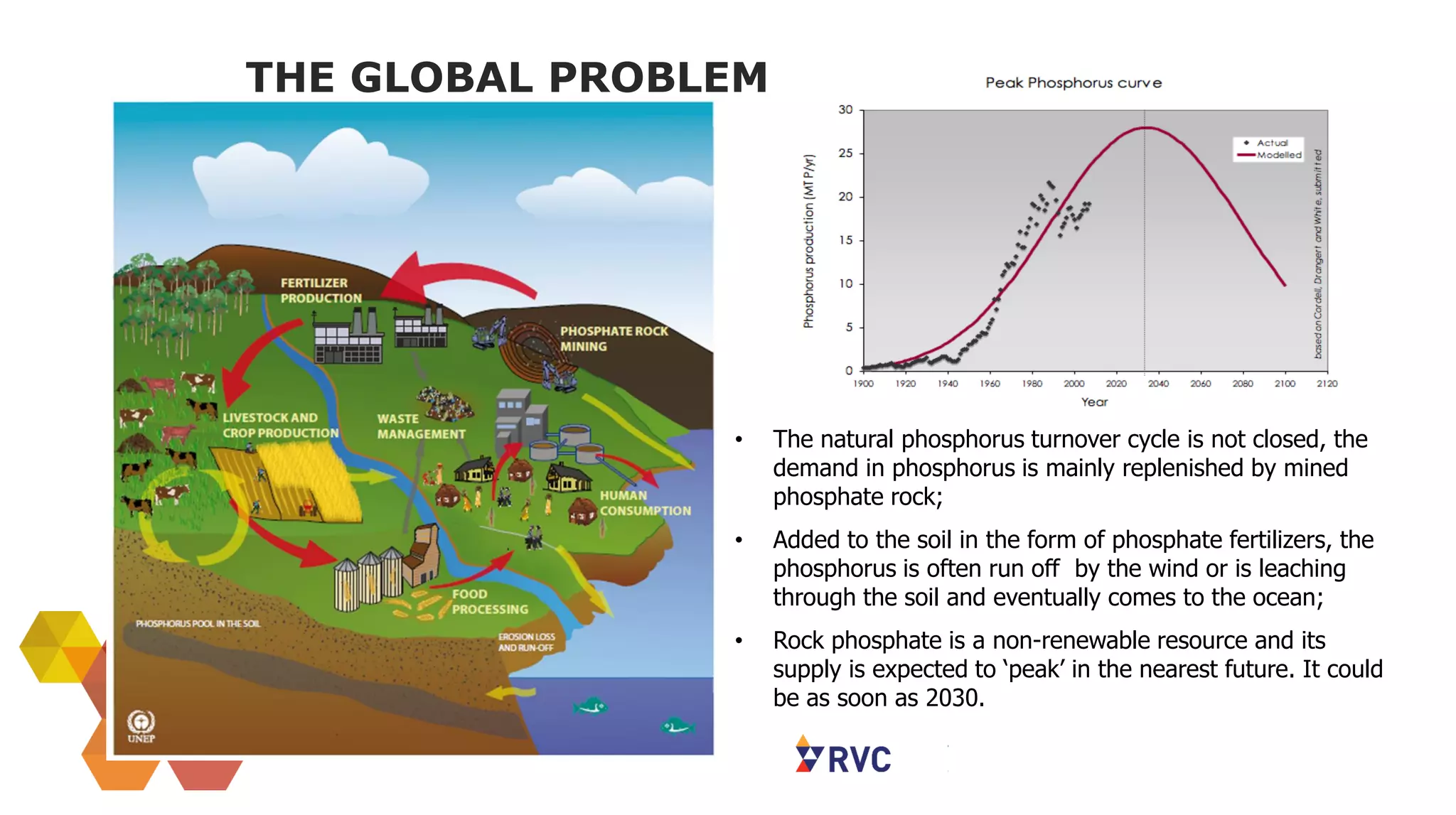 THE GLOBAL PROBLEM
• The natural phosphorus turnover cycle is not closed, the
demand in phosphorus is mainly replenished by mined
phosphate rock;
• Added to the soil in the form of phosphate fertilizers, the
phosphorus is often run off by the wind or is leaching
through the soil and eventually comes to the ocean;
• Rock phosphate is a non-renewable resource and its
supply is expected to ‘peak’ in the nearest future. It could
be as soon as 2030.
 