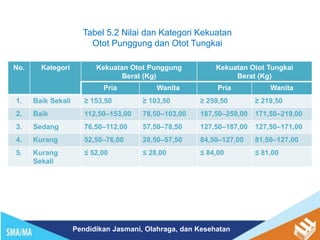 Pendidikan Jasmani, Olahraga, dan Kesehatan
Tabel 5.2 Nilai dan Kategori Kekuatan
Otot Punggung dan Otot Tungkai
No. Kategori Kekuatan Otot Punggung
Berat (Kg)
Kekuatan Otot Tungkai
Berat (Kg)
Pria Wanita Pria Wanita
1. Baik Sekali ≥ 153,50 ≥ 103,50 ≥ 259,50 ≥ 219,50
2. Baik 112,50–153,00 78,50–103,00 187,50–259,00 171,50–219,00
3. Sedang 76,50–112,00 57,50–78,50 127,50–187,00 127,50–171,00
4. Kurang 52,50–76,00 28,50–57,50 84,50–127,00 81,50–127,00
5. Kurang
Sekali
≤ 52,00 ≤ 28,00 ≤ 84,00 ≤ 81,00
 