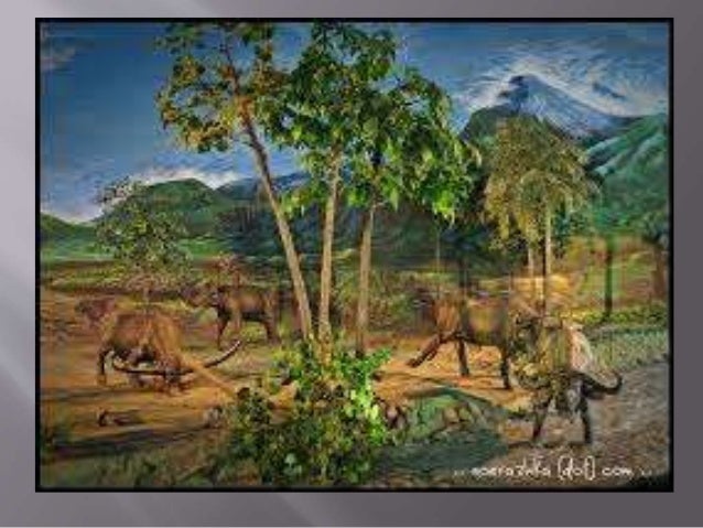 Aktivitas Manusia Purba