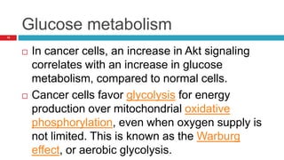 Glucose metabolism
15
 In cancer cells, an increase in Akt signaling
correlates with an increase in glucose
metabolism, compared to normal cells.
 Cancer cells favor glycolysis for energy
production over mitochondrial oxidative
phosphorylation, even when oxygen supply is
not limited. This is known as the Warburg
effect, or aerobic glycolysis.
 
