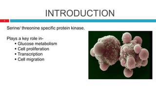 INTRODUCTION
Serine/ threonine specific protein kinase.
Plays a key role in-
 Glucose metabolism
 Cell proliferation
 Transcription
 Cell migration
3
 