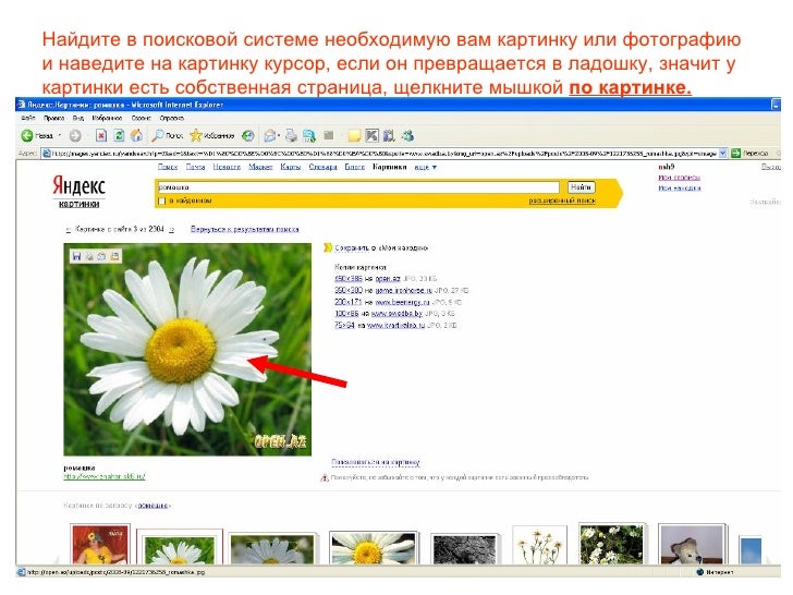 Генератор ссылок на источники