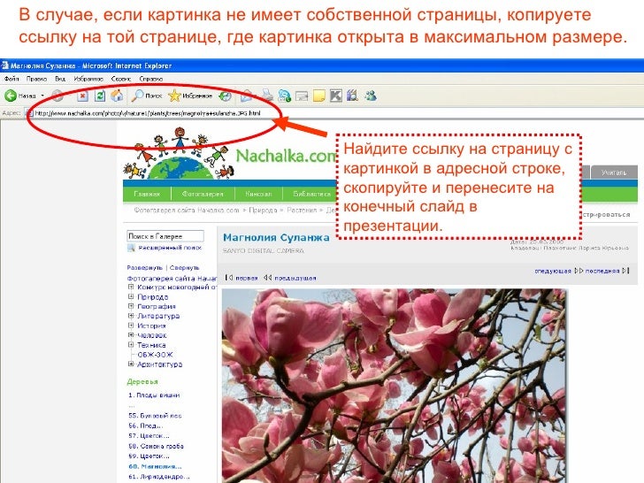 Невозможно добавить соавтора. Невозможно добавить соавтора