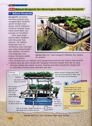 ffiI Maksud Akuaponik dan Menerangkan Reka Bentuk Akuaponik
Akuaponik merupakan
teknologi pertanian yang
menggabungkan akuakultur
(aktiviti ternakan ikan)
dengan aktiviti hidroponik
(menanam tanaman tanpa
media tanah) dalam satu
pusingan at (circulation).
Unsur yang sangat
penting dalam akuaponik
ialah kewujudan ikan,
tanaman, dan bakteria.
Ketigatiga unsur ini
membentuk suatu hubungan
yang saling menguntungkan
atau simbiosis mutualisme.
Cara ketiga-tiga unsur
tersebut beroperasi adalah
seperti yang berikut:
".ffi
.+
']* '1"'
It ry
r-
ri
+
:,,
rt
,5
*
3
F.*d
.,.'$ d l
lII
rI
-{i+
Gambar Foto 2.5.1 Srsfem akuaponik melibatkan ikan, bakteria,
dan tanaman
. ikan mengeluarkan sisa makanan yang mengandungi ammonia dan kotoran bagi tanaman;
. bakteria yang ada akan menapis dan mengubah ammonia menjadi nitrat dan zat yang
berfungsi sebagai baja kepada tanaman. Tanaman pula akan menyalurkan oksigen dan
air yang bebas ammonia yang diperlukan oleh ikan.
IP.tu-,1-rr.j*
-l
|
<- aliran air I
Tanaman
Bekas tanaman menggunakan pasu
kecil yang dimasukkan ke dalam paip
PVC saiz besar yang dilubangkan l
Air masuk ke
bekas penanaman
Rak tetingkat
yang dibuat
daripada paip
PVC untuk
menyangga
bekas tanaman
Sistem
pengairan
Air keluar
S;$e'd$tovA
lmbas halaman ini untuk
penerangan lebih lanjut
berkenaan sistem akuaponik
f ffi i ltlLp://tttt65'sasuaut.uuttt/tu
1 Pam air (di dalam tanski) menarik ,,r
---]ltll
t:fq Q2/18
f dari tangki i|<rn r. n.-nri trn.rrn il-aj elektrik rr - '"- "''!..
Gambar
loto.2.5
2 Srstem
'akuapanik datam tangki fiQerglgss
118
 
