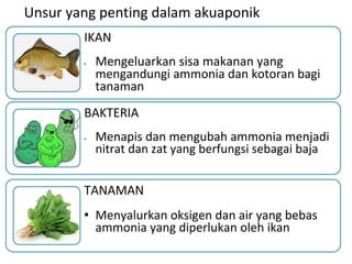 Unsur penting dalam akuaponik