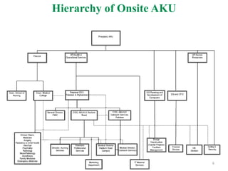 Hierarchy of Onsite AKU
6
 