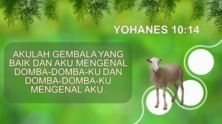 YOHANES 10:14
AKULAH GEMBALAYANG
BAIK DAN AKU MENGENAL
DOMBA-DOMBA-KU DAN
DOMBA-DOMBA-KU
MENGENAL AKU.
 