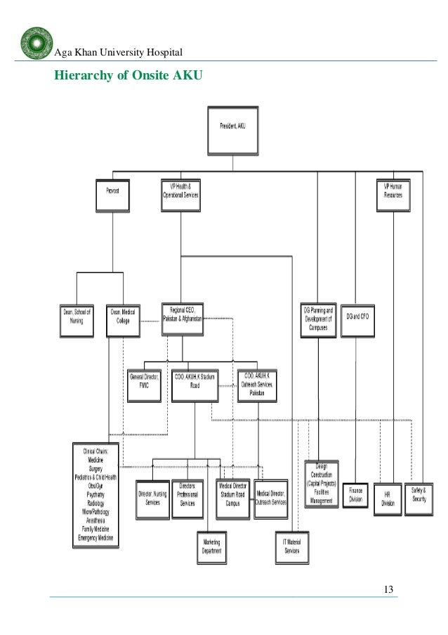 Akdn Organizational Chart