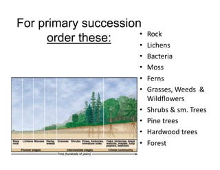 For primary succession
• 
order these:
• 
• 
• 
• 
• 
• 
• 
• 
• 

Rock	
  
Lichens	
  
Bacteria	
  
Moss	
  
Ferns	
  
Grasses,	
  Weeds	
  	
  &	
  
Wildﬂowers	
  
Shrubs	
  &	
  sm.	
  Trees	
  
Pine	
  trees	
  	
  
Hardwood	
  trees	
  
Forest	
  

 