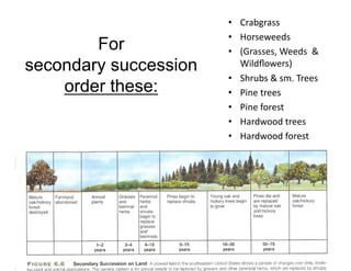 For
secondary succession
order these:

•  Crabgrass	
  
•  Horseweeds	
  
•  (Grasses,	
  Weeds	
  	
  &	
  
Wildﬂowers)	
  
•  Shrubs	
  &	
  sm.	
  Trees	
  
•  Pine	
  trees	
  	
  
•  Pine	
  forest	
  
•  Hardwood	
  trees	
  
•  Hardwood	
  forest	
  

 