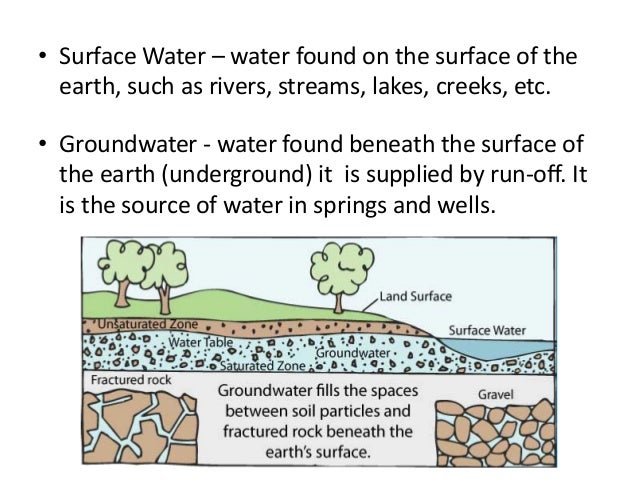 Unit 6- Water and Succession review & answer key
