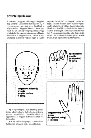 prosztatapanaszok
A prosztata (magyarul dülmirigy) a húgyhó-
lyag kimeneti szakaszánál helyezkedik el, és
ez a gesztenye nagyságú szerv körülöleli a
húgyvezetéket. Leggyakrabban az okoz pa-
naszt, ha ez a mirigy megnagyobbodik vagy
gyulladásba jön. A prosztatamegnagyobbodás
összeszűkíti a húgyvezetéket, ennek követ-
kezménye a gyakori vizelési inger, a vizelet
Az energia tengere. Ezt lehetőleg ellazí-
tottan elhelyezkedve kell akupresszúrázni
partner segítségével. Szétválasztással és
egyesítéssel is nagyon hatásosan lehet be-
folyásolni.
A 3 Jin találkozási pontja. Harmonizáló
hatása van az egész nemi szervi tájékra.
megrekedésével járó nehézségek, vizeletcse-
pegés, a vizelés közben égető érzés és végül a
vizelés lehetetlenné válása. A prosztatagyulla-
dás tünetei: hátfájás, gyakori vizelési inger és
vizelési nehézségek. Ez könnyen idültté vál-
hat. A prosztataproblémák a lelki életre is ki-
hatnak. Az akupresszúrával meg lehet akadá-
lyozni, hogy a panaszok idültté váljanak.
59
 