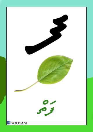 akuru ebook by koosani