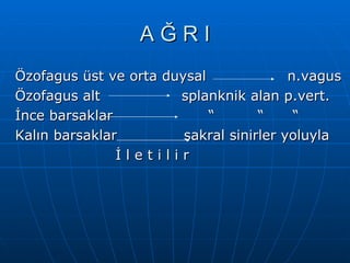 AĞRI
Özofagus üst ve orta duysal              n.vagus
Özofagus alt           splanknik alan p.vert.
İnce barsaklar              “       “     “
Kalın barsaklar         sakral sinirler yoluyla
               İletilir
 