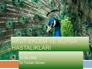 AKUT EKLEM VE BURSA
HASTALIKLARI
  12.08.2008
  Dr.Türkan Güven
 